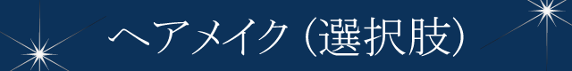 ヘアメイク（４つの方法）